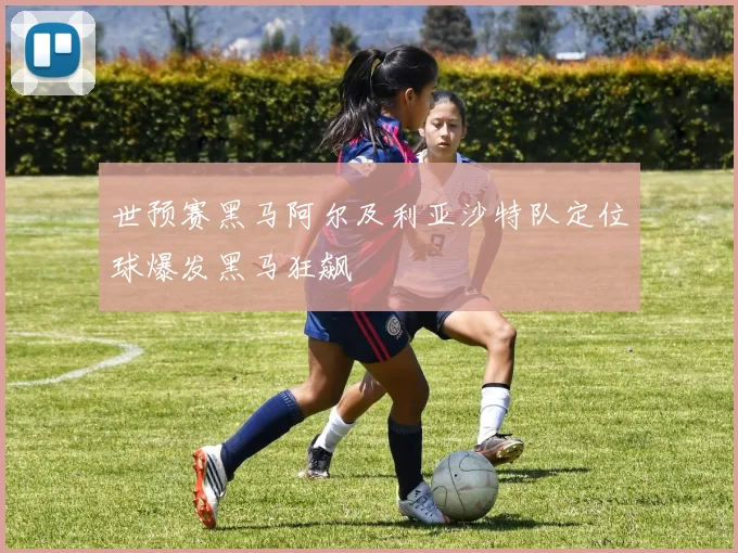 世预赛黑马阿尔及利亚沙特队定位球爆发黑马狂飙