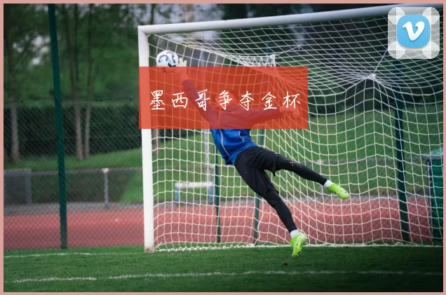 墨西哥争夺金杯
