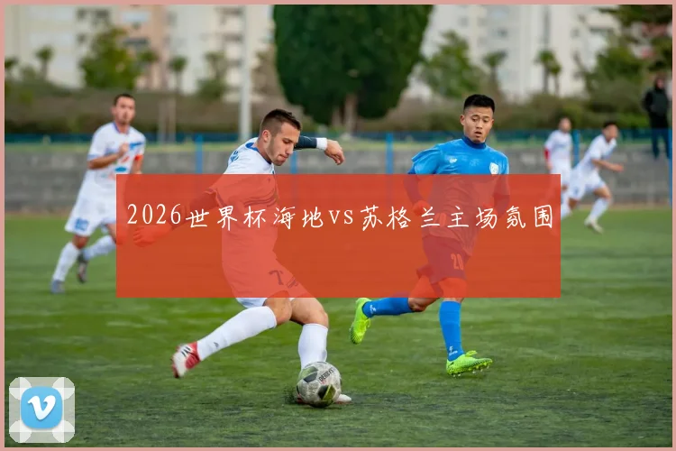 2026世界杯海地vs苏格兰主场氛围