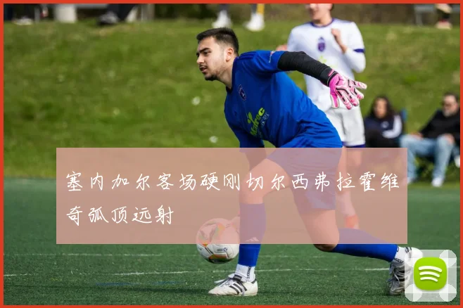 塞内加尔客场硬刚切尔西弗拉霍维奇弧顶远射